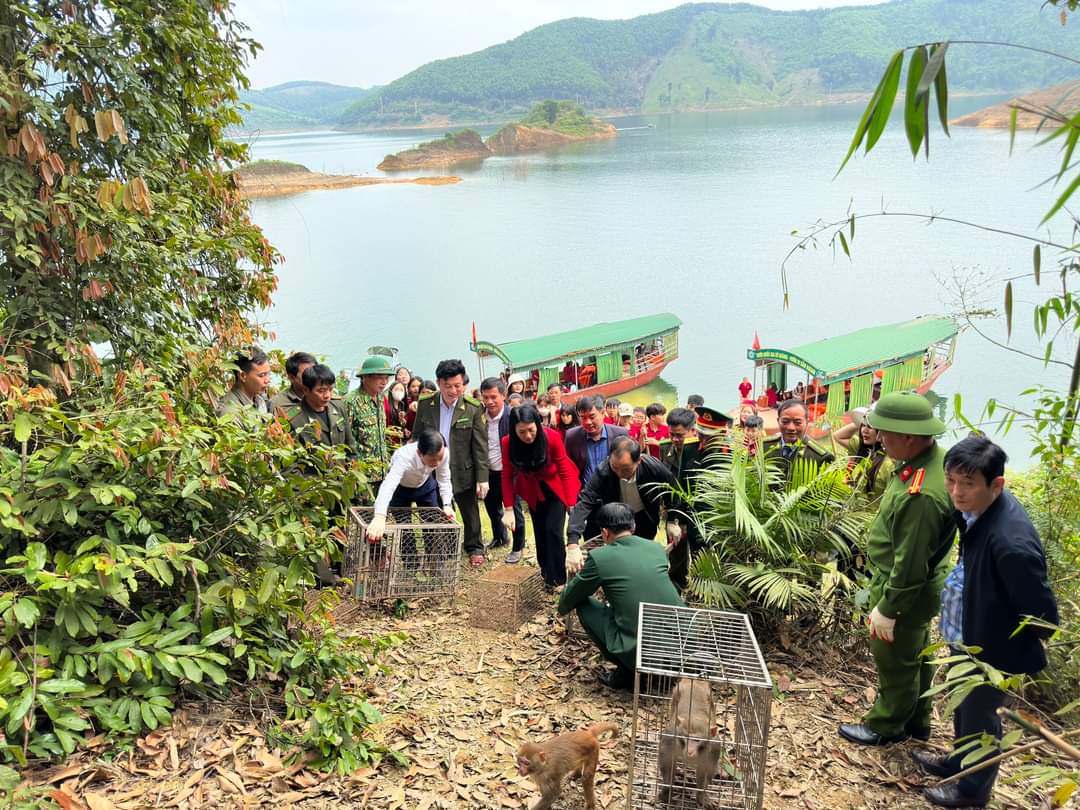 Hà Tĩnh: Thả 43 cá thể động vật hoang dã quý hiếm về Vườn quốc gia Vũ Quang